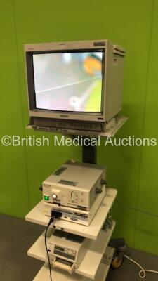 Olympus TI-1900 Image Trolley with Sony Trinitron Monitor, Olympus OES CLV-S20 Light Source, Olympus Visera OTV-S7 Digital Processor, Olympus OTV-S7 Camera Head and Sony UP-21MD Colour Video Printer (Powers Up) *A/N MP16607-3 / MP08125-2 / MP15075 / MP153 - 9