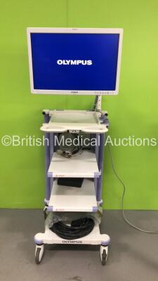 Olympus Stack Trolley with Olympus OEV261H Monitor and Olympus ECS-260 Connector Cable (Powers Up) *S/N 7115659* **A/N 0015624* - 2