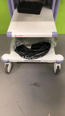 Olympus Stack Trolley with Olympus OEV261H Monitor and Olympus ECS-260 Connector Cable (Powers Up) *S/N 7115659* **A/N 0015624* - 6