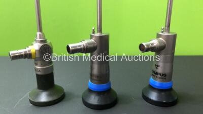 Job Lot Including 2 x Olympus A22001A 12 Degree Autoclavable 4mm Cystoscope (1 x Extremely Cloudy View and 1 x No View) and 1 x Karl Storz 27005 CA Hopkins II E-Class Autoclavable 4mm Cystoscope (Very Cloudy View) *204362 / 204325 / 1088903) - 4