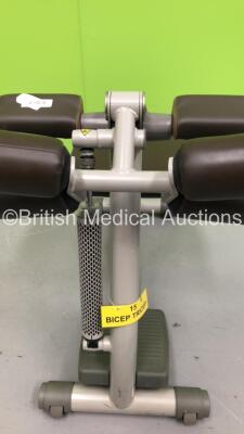 TechnoGym Bicep / Tricep Machine - 2