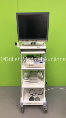 Olympus Compact Trolley with Olympus OEV191 Monitor, Olympus EndoEcho EU-C2000 Endoscopy Processor, Sony UP-897MD Colour Video Printer and Footswitch (Powers Up) *S/N 1700322*