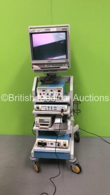 Smith and Nephew Dyonics Stack Trolley with Sony Monitor, Smith and Nephew Dyonics Access 40 40L Insufflator, Smith and Nephew 350 3-CCD Camera Control Unit, Smith and Nephew 460H Camera Head, Sony UP-21MD Colour Video Printer and Smith and Nephew Dyonics