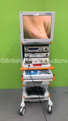 Smith and Nephew Stack Trolley with NDS Monitor, Smith and Nephew Dyonics Power Unit, Smith and Nephew Dyonics HD 900 High Definition Camera Control Unit and ISD, Smith and Nephew Camera Head, Smith and Nephew Dyonics 300XL Xenon Light Source and Sony UP-