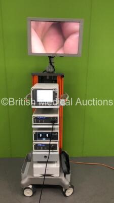 Smith and Nephew Stack Trolley with Sony Monitor, Smith and Nephew 660HD Image Management System, Smith and Nephew 560P High Definition Camera System, Smith and Nephew 560H Camera Head, Smith and Nephew Dyonics Power II Control System, Smith and Nephew 50