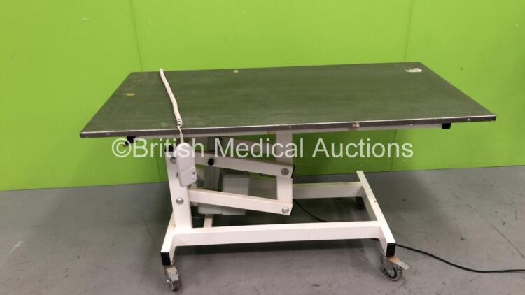 Kruuse Electrolift Animal Operating Table with Controller (Powers Up)