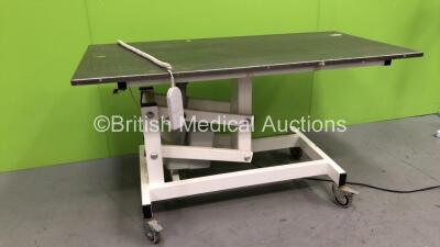 Kruuse Electrolift Animal Operating Table with Controller (Powers Up) - 2