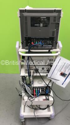 Olympus TC-C1 Clinical Trolley with Sony Trinitron PVM-14M2MDE Monitor, Olympus OTV-S6 Advanced Digital Multi Processor, Olympus CLH-250 Light Source, Sony Color Video Printer UP-21MD and Sony Digital Videocassette Recorder DSR-20MDP (All Power Up) *S/N 2 - 5