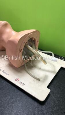 Laerdal Airway Management Training Device and 1 x Abdominal Teaching Model - 4