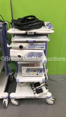 2 x Olympus Stack Trolleys with Olympus OEV191H Monitor, Olympus ECS260 Connector Cable, Sony UP-21MD Colour Video Printer, Olympus Evis Lucera CV-260SL Digital Processor, Olympus Evis Lucera CLV-260SL Light Source, Olympus PSD-30 Electrosurgical Unit and - 6