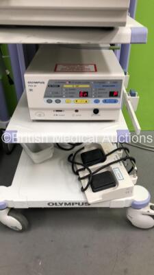 2 x Olympus Stack Trolleys with Olympus OEV191H Monitor, Olympus ECS260 Connector Cable, Sony UP-21MD Colour Video Printer, Olympus Evis Lucera CV-260SL Digital Processor, Olympus Evis Lucera CLV-260SL Light Source, Olympus PSD-30 Electrosurgical Unit and - 9