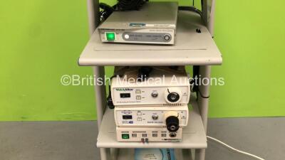 Olympus TC-C1 Clinical Trolley with Sony Trinitron Monitor, Olympus OTV-SC Digital Signal Processor, Welch Allyn VDX-300 Imaging and Illumination Platform, MYELOTec Visionary Model 500 Video Console and Litechnica Camera Control Unit (Powers Up) - 3