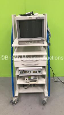 Stack Trolley with Sony Trinitron Monitor, Karl Zeiss XE 5600-CCD Camera Control Unit, Camera Head and Sony UP-21MD Colour Video Printer (Powers Up)