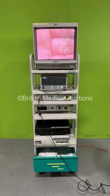 Smith and Nephew Stack System with Sony PVM-2503MD Monitor, Karl Storz 264305 20 Electronic Endoflator, Dyonics Enhanced Digital 3 Chip Camera Control Unit, Dyonics Xenon Light Source, Dyonics Camera Head, Panasonic NV-FS88 Video Cassette Recorder and Son