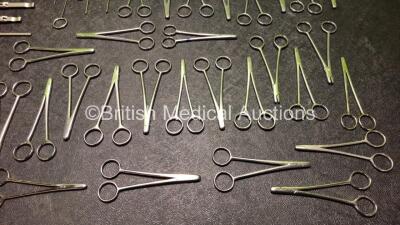 Job Lot of Various Surgical Instruments - 7