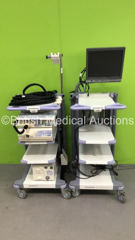 2 x Olympus WM-260 Mobile Workstations with Olympus OEV181H Monitor, Olympus  Evis Lucera CV-260