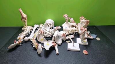 Job Lot of Skeleton Training Aids