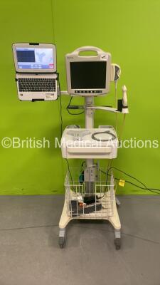 Bard Site Rite 5 Ref 976300 Ultrasound System on Stand with 1 x Bard ...