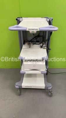 Olympus Stack Trolley with Sony UP-DR80MD Digital Colour Printer (Powers Up)