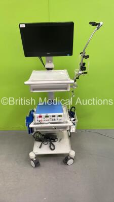 Perimed PeriFlux System 5000 Laser Doppler System on Trolley with Dell Monitor and Accessories (Powers Up) *2003*