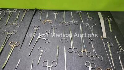 Job Lot of Surgical Instruments - 3