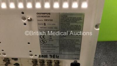 Olympus OEV191 LCD Monitor (Powers Up) - 4