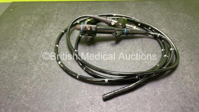 Olympus GIF-100 3 Meter Conversion Equine Video Gastroscope in Case - Engineer's Report : Optical System - No Fault Found, Angulation- No Fault Found, Insertion Tube - No Fault Found, Light Transmission - No Fault Found, Channels - No Fault Found, Leak Ch - 2