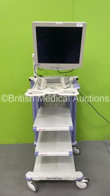 Olympus Trolley with 1 x Sony LMD-1950MD Monitor and Power Supply (Powers Up) *SN 2007866*