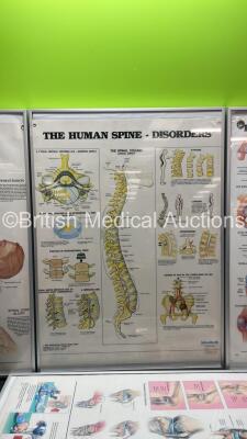 4 x Anatomical Charts - 3