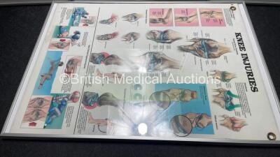 4 x Anatomical Charts - 5