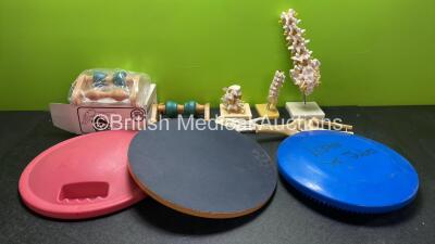 Mixed Lot Including 3 x Spine Models, 1 x Foot Model, 1 x Knee Model, 2 x Kech Stretchers 2 x Rocker Boards and 1 x Wobble Board