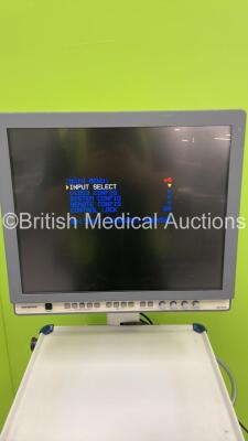 Olympus OEV191H Monitor on Stand (Powers Up) *S/N 7926091* - 3