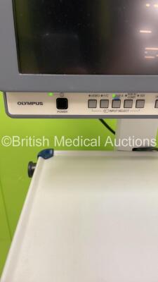 Olympus OEV191H Monitor on Stand (Powers Up) *S/N 7926091* - 4