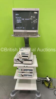 Olympus Stack Trolley with Sony Monitor, Olympus OES CLV-S30 Light Source, Olympus OES OTV-S6 Camera Control Unit, Sony UP-21MD Colour Video Printer and Sony UP-2300P COlour Video Printer (Powers Up) *S/N 7012616*