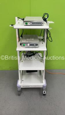 Olympus TC-C1 Trolley with Olympus OTV-SC Digital Signal Processor (Damaged -Spares and Repairs - No Power) and Olympus CLH-SC Light Source (Powers Up with Good Bulb) *S/N 7305600 / 7313662*