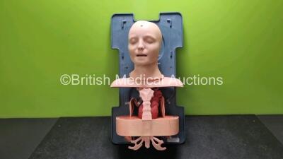 Laerdal Anatomic Anne Training Manikin