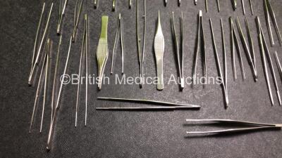 Job Lot of Various Surgical Instruments - 3