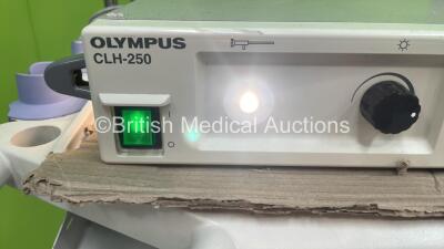 Olympus Double Stack Trolley with Olympus OTV-SI Digital Processor and Olympus CLH-250 Light Source (Powers Up) - 8