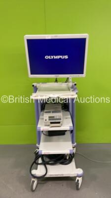 Olympus Stack Trolley with Olympus OEV261H Monitor and Sony UP-21MD Printer (Powers Up) *S/N 7013737*