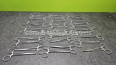 30 x 6'' Curved Artery Forceps