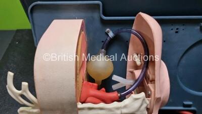 Laerdal Anatomic Anne In Carry Case (Incomplete) - 2