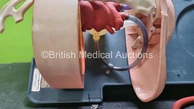 Laerdal Anatomic Anne In Carry Case (Incomplete) - 3