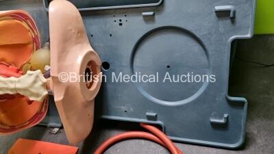 Laerdal Anatomic Anne In Carry Case (Incomplete) - 6