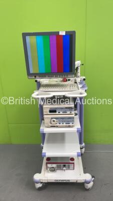 Olympus Stack Trolley with Olympus OEV191H Monitor, Olympus Visera OTV-S7 Digital Processor , Olympus Visera CLV-S40 Light Source and Richard Wolf 2207 Suction Pump (Powers Up) *S/N 7613906 / 7582378 / 7302362* *A/N 048090 / 049118 /041219*