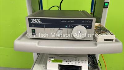 Storz Stack Trolley with Storz WideView HD Monitor, Storz 222010 20 SCB Image 1 Hub Camera Control Unit, Storz 22220050-3 H3 Image 1 HD Camera Head, Storz 201340 20 Xenon 300 Light Source, Olympus OES UHI-2 and Sony UP-25MD Color Video Printer (All Power - 3