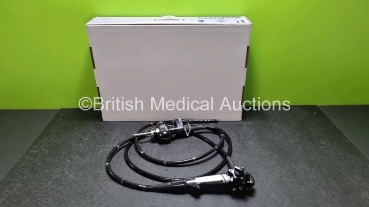 Olympus CF-Q260DL Video Colonoscope in Case - Engineer's Report : Optical System - Freeze Frame Inoperable , Angulation - Not Reaching Specification- To Be Adjusted, Insertion Tube - Wrinkled, Light Transmission - No Fault Found, Channels - No Fault Found