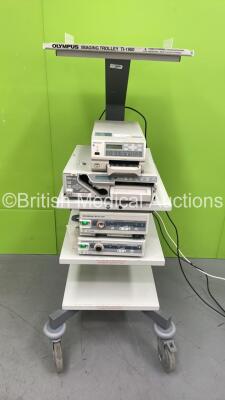 Olympus Imaging Trolley TI-900 with Sony UP-21MD Colour Video Printer, Sony UP-2800P Colour Video Printer, Olympus OES CLV-S30 Light Source and Olympus OES OTV-S6 Camera Control Unit (Powers Up)