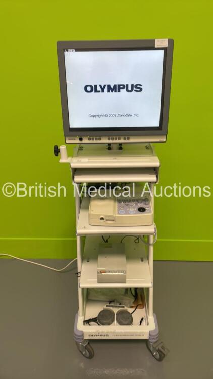 Olympus TC-EU Ultrasound Trolley with Olympus OEV191 Monitor, Olympus EndoEcho EU-C2000 Compact Endoscopic Ultrasound Center and Footswitch (Powers Up) *S/N 7616856*