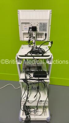 Olympus TC-EU Ultrasound Trolley with Olympus OEV191 Monitor, Olympus EndoEcho EU-C2000 Compact Endoscopic Ultrasound Center and Footswitch (Powers Up) *S/N 7616856* - 6