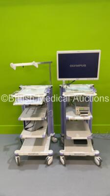 2 x Olympus Stack Trolleys with Olympus OEV261H Monitor and Sony UP-21MD Colour Video Printer (Power Up) *S/N 70126641*